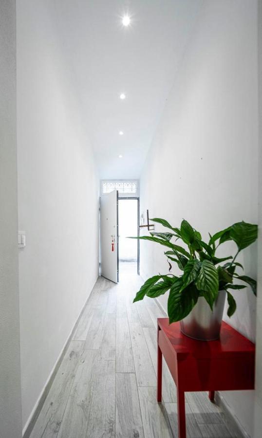 Apartamento Puccinotti House Florencia Exterior foto
